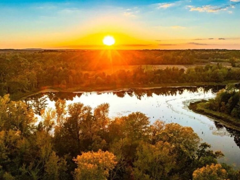 New 650-acre state park coming to Lake Palestine in East Texas